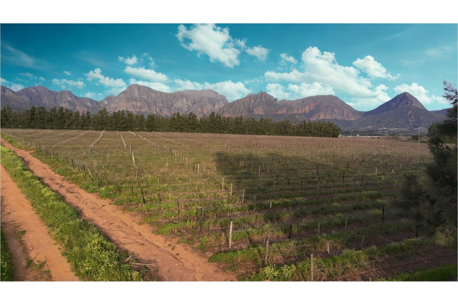 0 Bedroom Property for Sale in Paarl Rural Western Cape